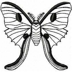 Butterfly Embroidery Design 3